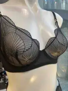 lingerie in milwaukee