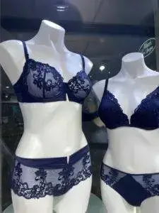 Two mannequins dressed in matching navy blue lingerie sets. Both sets feature sheer mesh and detailed lace embroidery. The left mannequin has a bra with lace accents and matching high-waisted shorts with lace trim. The right mannequin wears a similar bra with matching bikini-style underwear, also adorned with lace detailing.