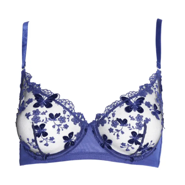 Blue embroidered bra: Sheer underwire bra with royal blue floral embroidery and velvet texture, featuring scalloped lace edges and adjustable straps.