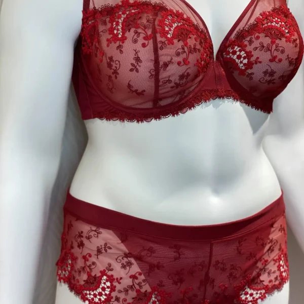 A sheer red lingerie set displayed on a mannequin, featuring a bra and matching panties with intricate red and white floral embroidery. The bra has supportive underwire cups with delicate lace trim, while the high-waisted panties are adorned with matching floral lace at the edges, creating an elegant, coordinated look.